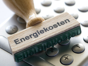 Mit Hilfe einer Online-Datenbank können brandenburgische Vereine mögliche Energieeinsparpotenziale identifizieren. Foto: picture-alliance